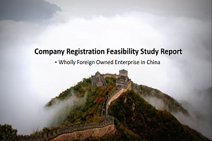 set up company in China